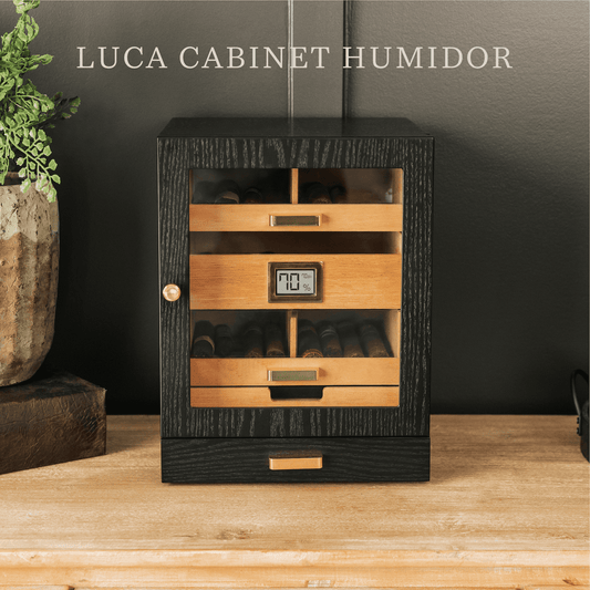 Luca Humidor Cabinet by Case Elegance